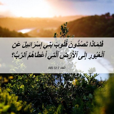 Picture 06 - اَلْعَدَد 32:7 AVD - فَلِمَاذَا تَصُدُّونَ - Bible Verse Picture