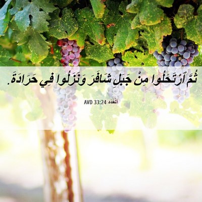 Picture 06 - اَلْعَدَد 33:24 AVD - ثُمَّ ٱرْتَحَلُوا مِنْ - Bible Verse Picture