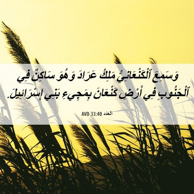 Picture 06 - اَلْعَدَد 33:40 AVD - وَسَمِعَ ٱلْكَنْعَانِيُّ - Bible Verse Picture