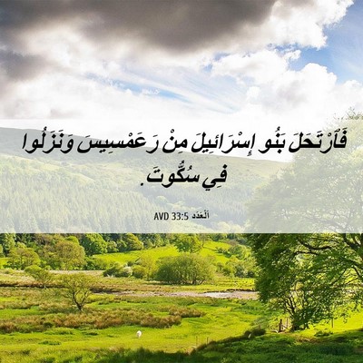 Picture 06 - اَلْعَدَد 33:5 AVD - فَٱرْتَحَلَ بَنُو - Bible Verse Picture