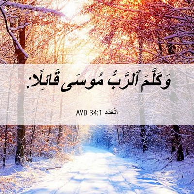 Picture 06 - اَلْعَدَد 34:1 AVD - وَكَلَّمَ ٱلرَّبُّ مُوسَى - Bible Verse Picture