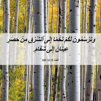 Picture 06 - اَلْعَدَد 34:10 AVD - وَتَرْسُمُونَ لَكُمْ - Bible Verse Picture