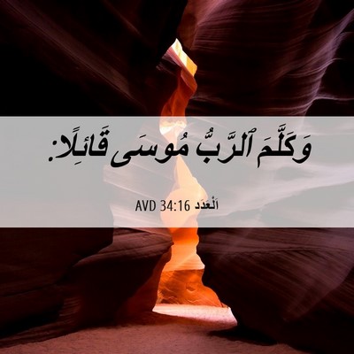 Picture 06 - اَلْعَدَد 34:16 AVD - وَكَلَّمَ ٱلرَّبُّ مُوسَى - Bible Verse Picture