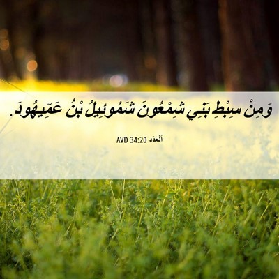 Picture 06 - اَلْعَدَد 34:20 AVD - وَمِنْ سِبْطِ بَنِي - Bible Verse Picture