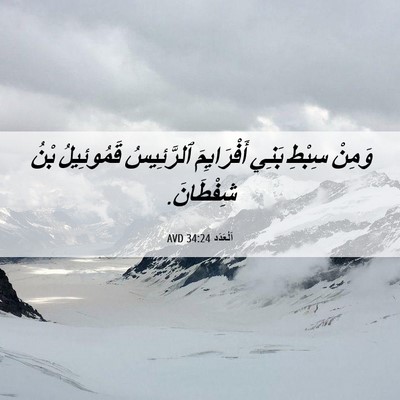 Picture 06 - اَلْعَدَد 34:24 AVD - وَمِنْ سِبْطِ بَنِي - Bible Verse Picture