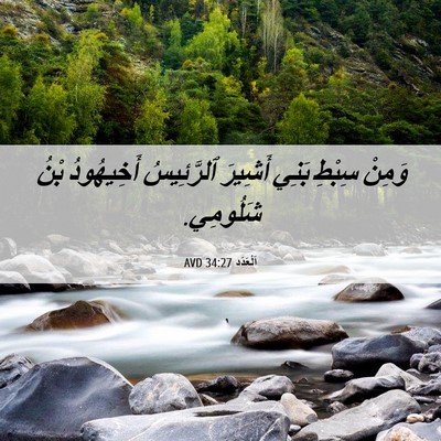 Picture 06 - اَلْعَدَد 34:27 AVD - وَمِنْ سِبْطِ بَنِي - Bible Verse Picture