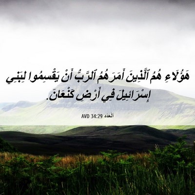 Picture 06 - اَلْعَدَد 34:29 AVD - هَؤُلَاءِ هُمُ ٱلَّذِينَ - Bible Verse Picture