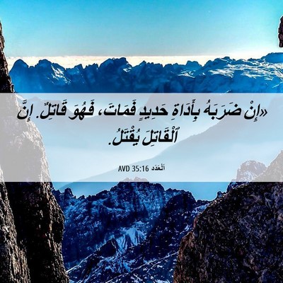 Picture 06 - اَلْعَدَد 35:16 AVD - «إِنْ ضَرَبَهُ بِأَدَاةِ - Bible Verse Picture