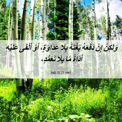 Picture 06 - اَلْعَدَد 35:22 AVD - وَلَكِنْ إِنْ دَفَعَهُ - Bible Verse Picture