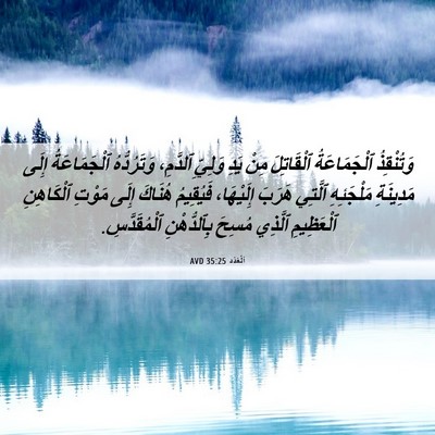 Picture 06 - اَلْعَدَد 35:25 AVD - وَتُنْقِذُ ٱلْجَمَاعَةُ - Bible Verse Picture