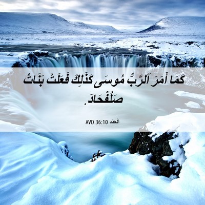 Picture 06 - اَلْعَدَد 36:10 AVD - كَمَا أَمَرَ ٱلرَّبُّ - Bible Verse Picture