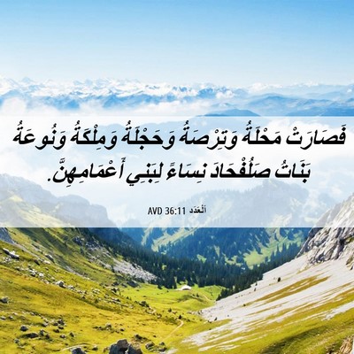 Picture 06 - اَلْعَدَد 36:11 AVD - فَصَارَتْ مَحْلَةُ - Bible Verse Picture