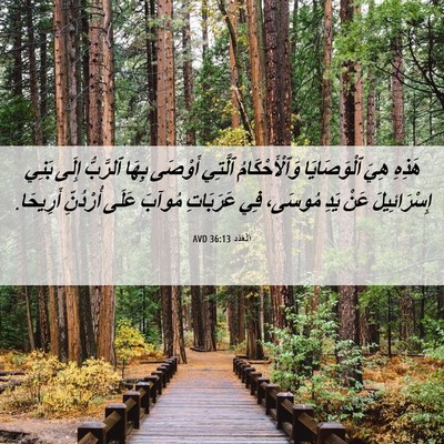 Picture 06 - اَلْعَدَد 36:13 AVD - هَذِهِ هِيَ ٱلْوَصَايَا - Bible Verse Picture