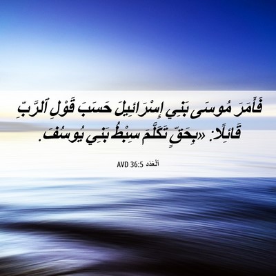 Picture 06 - اَلْعَدَد 36:5 AVD - فَأَمَرَ مُوسَى بَنِي - Bible Verse Picture
