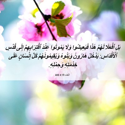 Picture 06 - اَلْعَدَد 4:19 AVD - بَلِ ٱفْعَلَا لَهُمْ هَذَا - Bible Verse Picture