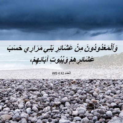 Picture 06 - اَلْعَدَد 4:42 AVD - وَٱلْمَعْدُودُونَ مِنْ - Bible Verse Picture