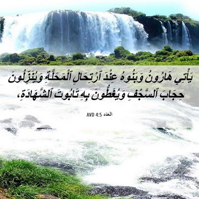 Picture 06 - اَلْعَدَد 4:5 AVD - يَأْتِي هَارُونُ - Bible Verse Picture