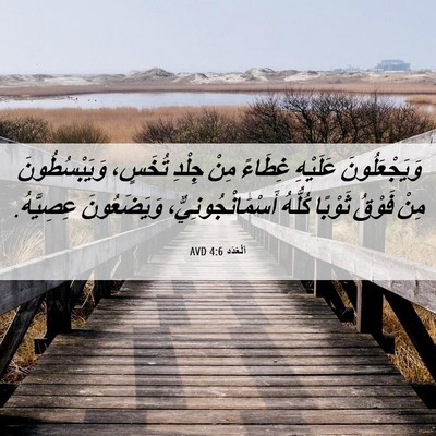 Picture 06 - اَلْعَدَد 4:6 AVD - وَيَجْعَلُونَ عَلَيْهِ - Bible Verse Picture