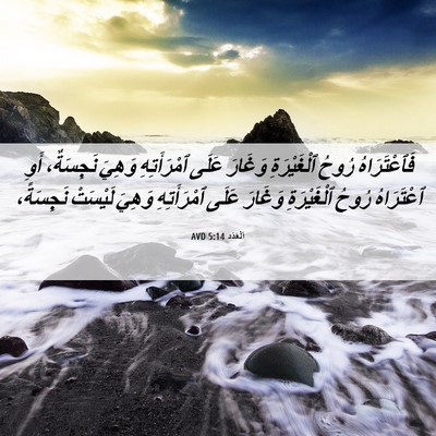Picture 06 - اَلْعَدَد 5:14 AVD - فَٱعْتَرَاهُ رُوحُ - Bible Verse Picture