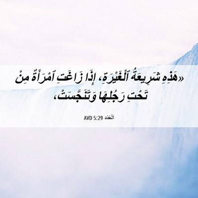 Picture 06 - اَلْعَدَد 5:29 AVD - «هَذِهِ شَرِيعَةُ - Bible Verse Picture