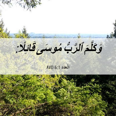 Picture 06 - اَلْعَدَد 6:1 AVD - وَكَلَّمَ ٱلرَّبُّ مُوسَى - Bible Verse Picture