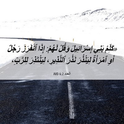 Picture 06 - اَلْعَدَد 6:2 AVD - «كَلِّمْ بَنِي - Bible Verse Picture