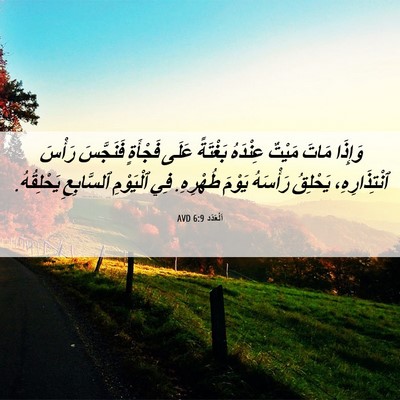 Picture 06 - اَلْعَدَد 6:9 AVD - وَإِذَا مَاتَ مَيْتٌ - Bible Verse Picture