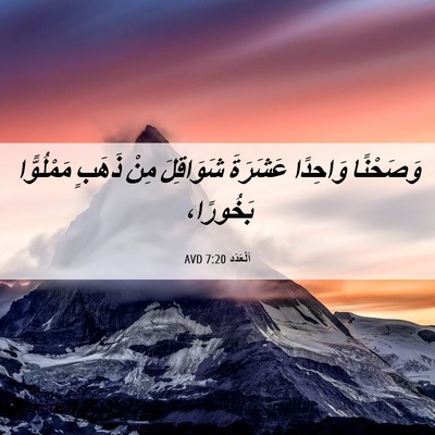 Picture 06 - اَلْعَدَد 7:20 AVD - وَصَحْنًا وَاحِدًا - Bible Verse Picture