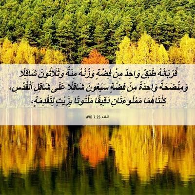 Picture 06 - اَلْعَدَد 7:25 AVD - قُرْبَانُهُ طَبَقٌ - Bible Verse Picture