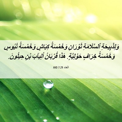 Picture 06 - اَلْعَدَد 7:29 AVD - وَلِذَبِيحَةِ - Bible Verse Picture