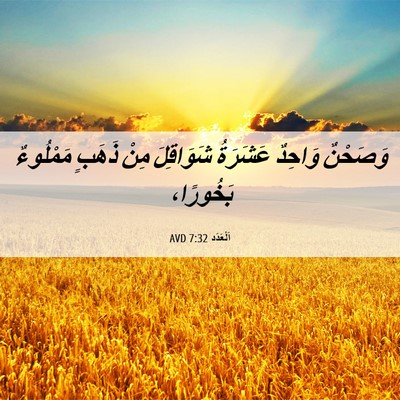 Picture 06 - اَلْعَدَد 7:32 AVD - وَصَحْنٌ وَاحِدٌ عَشَرَةُ - Bible Verse Picture