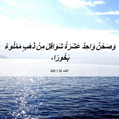 Picture 06 - اَلْعَدَد 7:38 AVD - وَصَحْنٌ وَاحِدٌ عَشَرَةُ - Bible Verse Picture