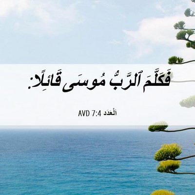 Picture 06 - اَلْعَدَد 7:4 AVD - فَكَلَّمَ ٱلرَّبُّ مُوسَى - Bible Verse Picture