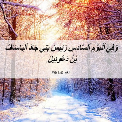 Picture 06 - اَلْعَدَد 7:42 AVD - وَفِي ٱلْيَوْمِ - Bible Verse Picture