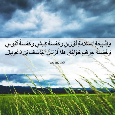 Picture 06 - اَلْعَدَد 7:47 AVD - وَلِذَبِيحَةِ - Bible Verse Picture