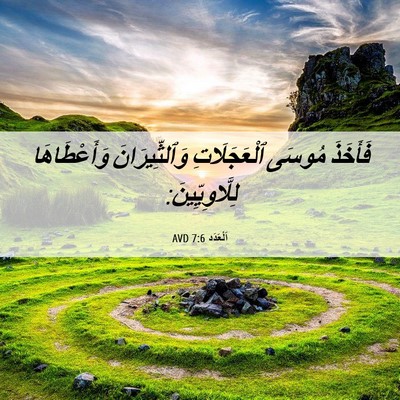 Picture 06 - اَلْعَدَد 7:6 AVD - فَأَخَذَ مُوسَى - Bible Verse Picture