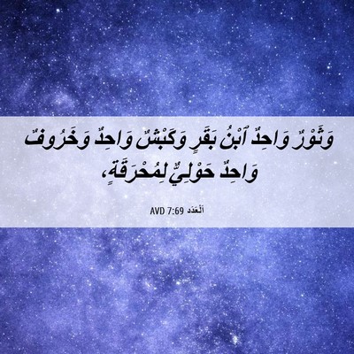 Picture 06 - اَلْعَدَد 7:69 AVD - وَثَوْرٌ وَاحِدٌ ٱبْنُ - Bible Verse Picture