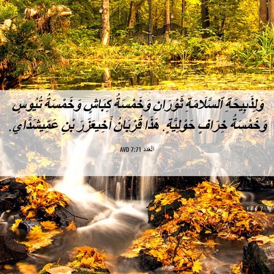 Picture 06 - اَلْعَدَد 7:71 AVD - وَلِذَبِيحَةِ - Bible Verse Picture