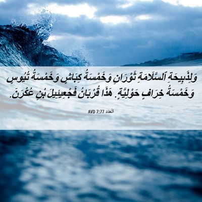 Picture 06 - اَلْعَدَد 7:77 AVD - وَلِذَبِيحَةِ - Bible Verse Picture