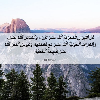 Picture 06 - اَلْعَدَد 7:87 AVD - كُلُّ ٱلثِّيرَانِ - Bible Verse Picture