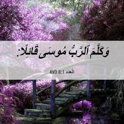 Picture 06 - اَلْعَدَد 8:1 AVD - وَكَلَّمَ ٱلرَّبُّ مُوسَى - Bible Verse Picture