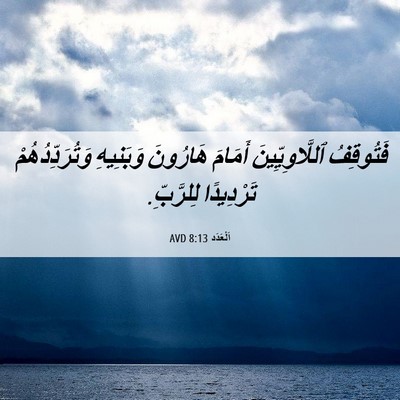 Picture 06 - اَلْعَدَد 8:13 AVD - فَتُوقِفُ ٱللَّاوِيِّينَ - Bible Verse Picture
