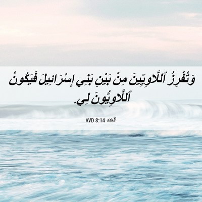 Picture 06 - اَلْعَدَد 8:14 AVD - وَتُفْرِزُ ٱللَّاوِيِّينَ - Bible Verse Picture
