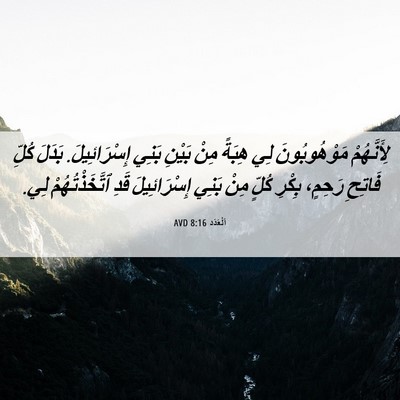 Picture 06 - اَلْعَدَد 8:16 AVD - لِأَنَّهُمْ مَوْهُوبُونَ - Bible Verse Picture