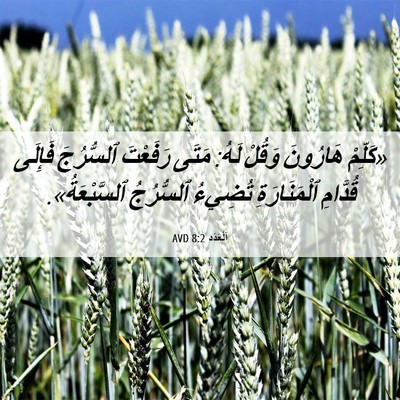Picture 06 - اَلْعَدَد 8:2 AVD - «كَلِّمْ هَارُونَ وَقُلْ - Bible Verse Picture