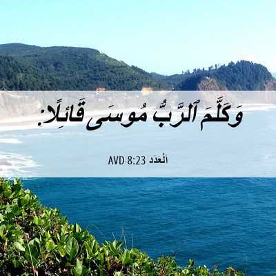 Picture 06 - اَلْعَدَد 8:23 AVD - وَكَلَّمَ ٱلرَّبُّ مُوسَى - Bible Verse Picture