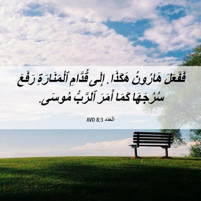 Picture 06 - اَلْعَدَد 8:3 AVD - فَفَعَلَ هَارُونُ هَكَذَا. - Bible Verse Picture