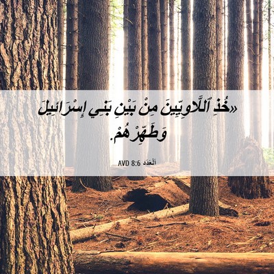 Picture 06 - اَلْعَدَد 8:6 AVD - «خُذِ ٱللَّاوِيِّينَ مِنْ - Bible Verse Picture