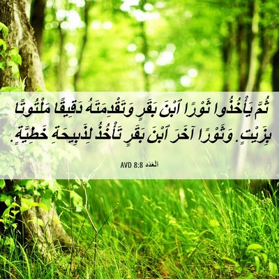 Picture 06 - اَلْعَدَد 8:8 AVD - ثُمَّ يَأْخُذُوا ثَوْرًا - Bible Verse Picture