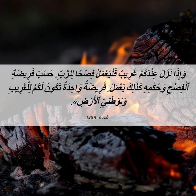 Picture 06 - اَلْعَدَد 9:14 AVD - وَإِذَا نَزَلَ عِنْدَكُمْ - Bible Verse Picture